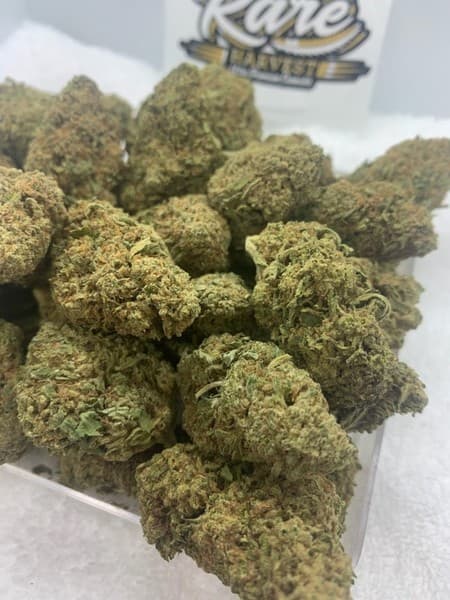 Super Skunk cannabis strain, community photo 1