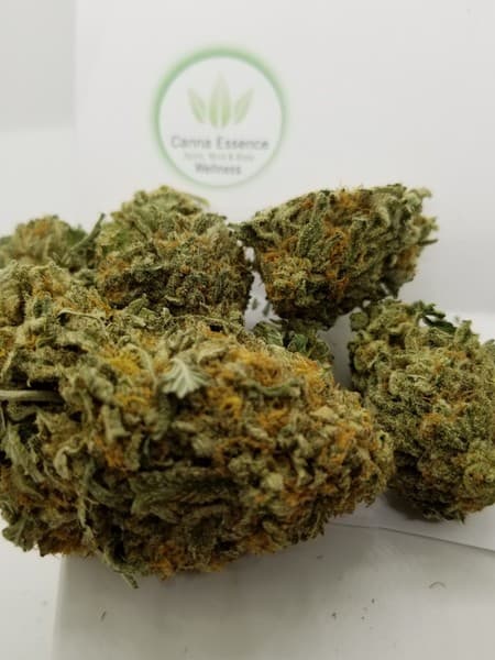 Super Skunk cannabis strain, community photo 2