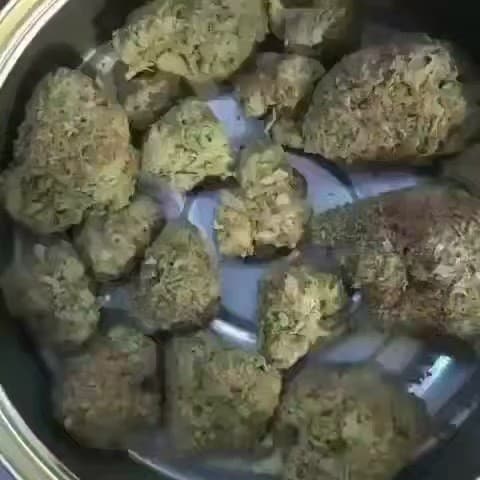 Super Skunk cannabis strain, community photo 4