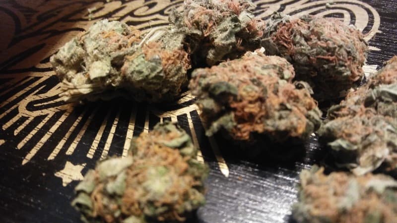 Super Skunk cannabis strain, community photo 9
