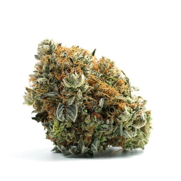 Super Sonic cannabis strain, community photo 2