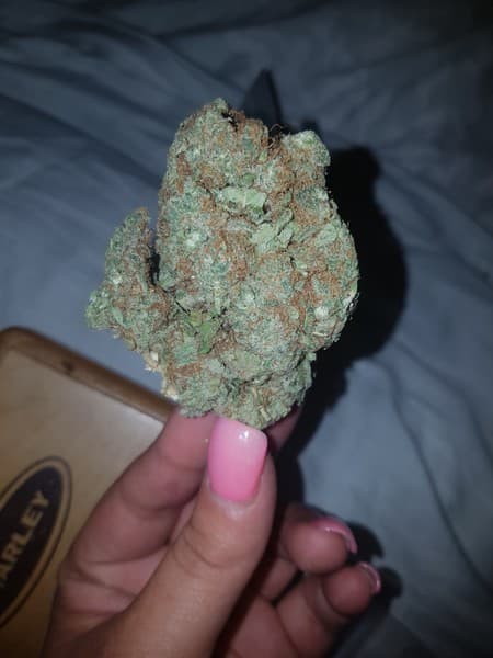Supernova cannabis strain, community photo 3