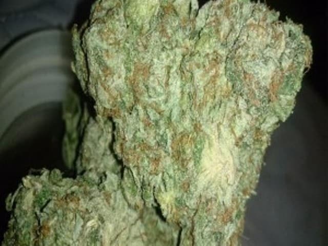 Superstar cannabis strain, community photo 1