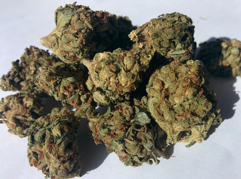 Sweet Tooth cannabis strain, community photo 1