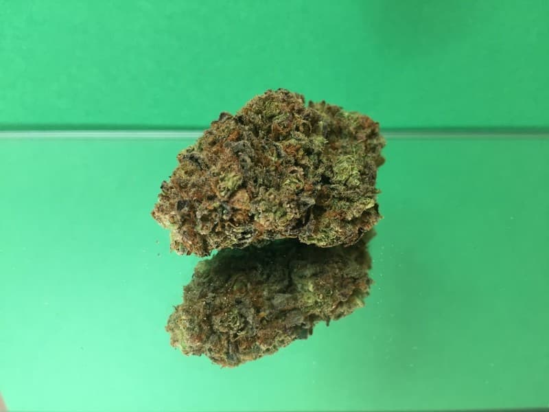 Sweet Tooth cannabis strain, community photo 2