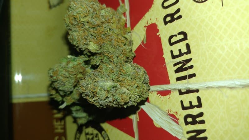Sweet Tooth cannabis strain, community photo 3