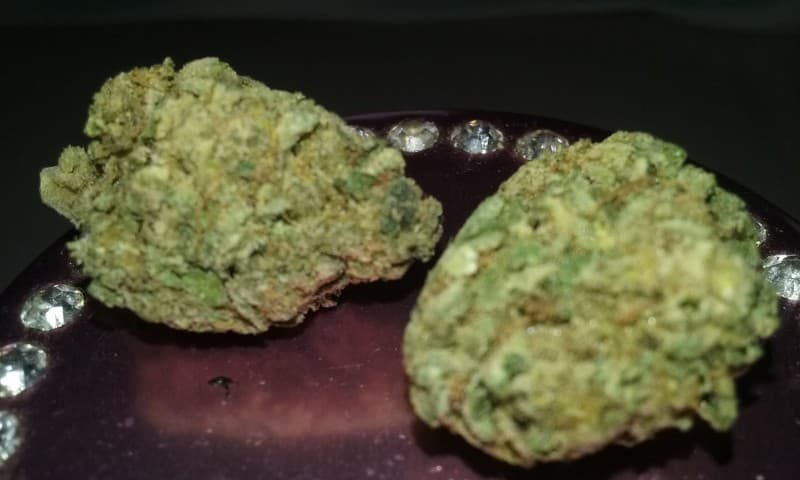 Sweet Tooth cannabis strain, community photo 5