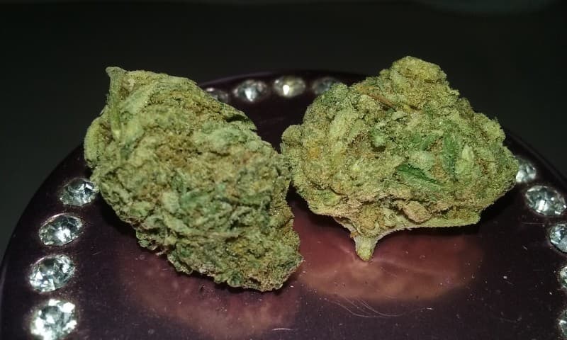 Sweet Tooth cannabis strain, community photo 9