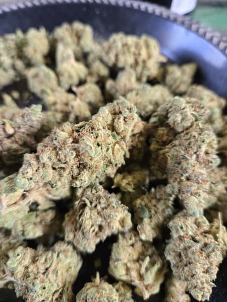 Sweeties cannabis strain, community photo 1