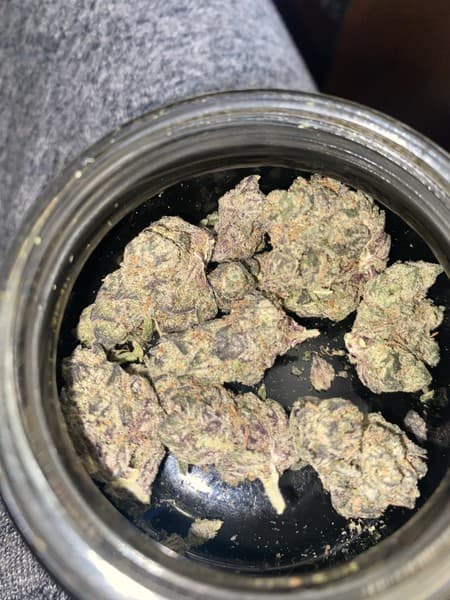 Sweeties cannabis strain, community photo 2