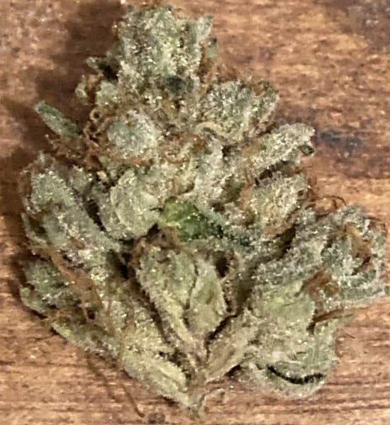 Sweeties cannabis strain, community photo 3