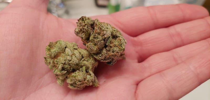 Tahoe Alien cannabis strain, community photo 1