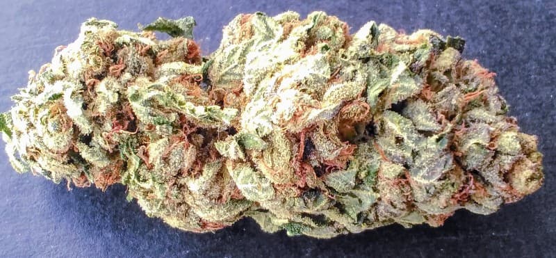 Tahoe Alien cannabis strain, community photo 3