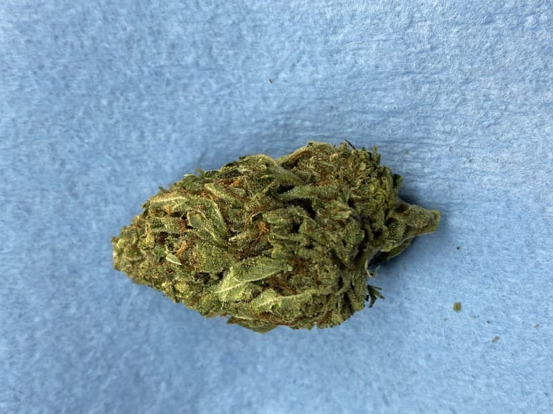 Tahoe OG cannabis strain, community photo 1