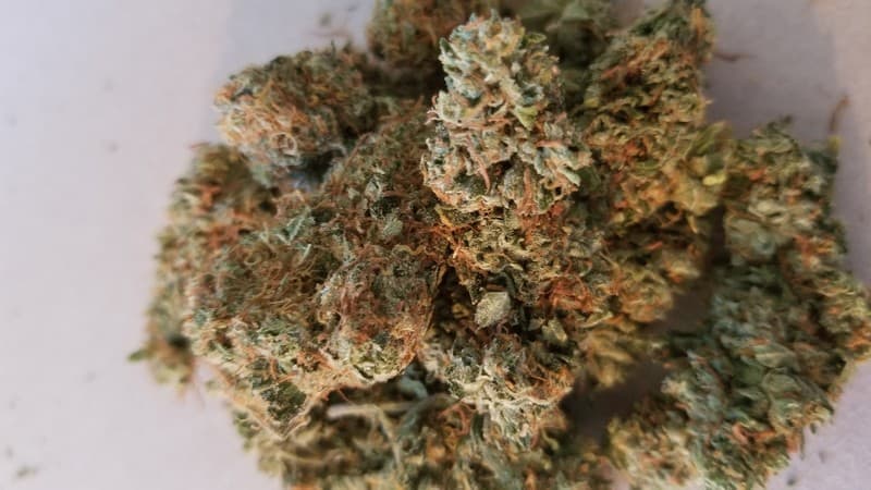 Tahoe OG cannabis strain, community photo 4