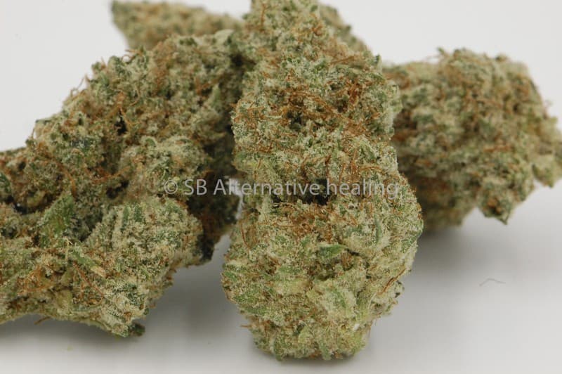 Tahoe OG cannabis strain, community photo 7