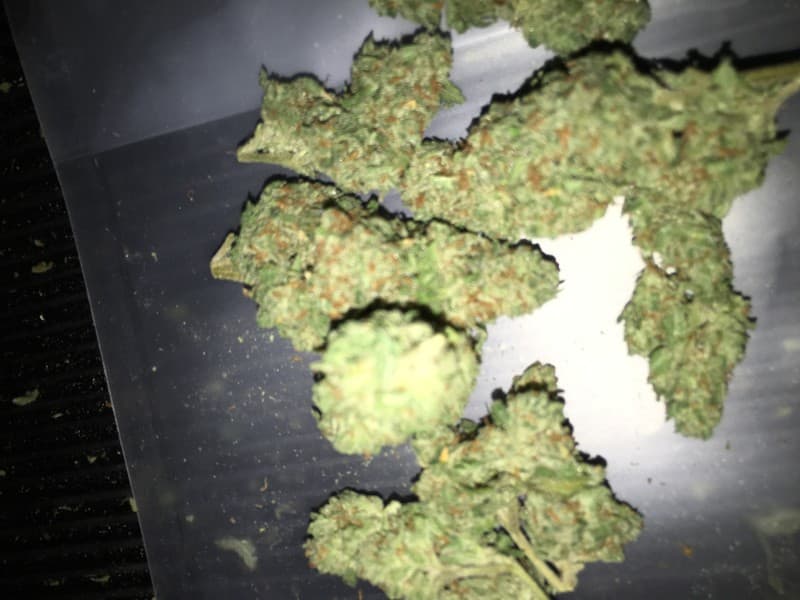 Tahoe OG cannabis strain, community photo 8