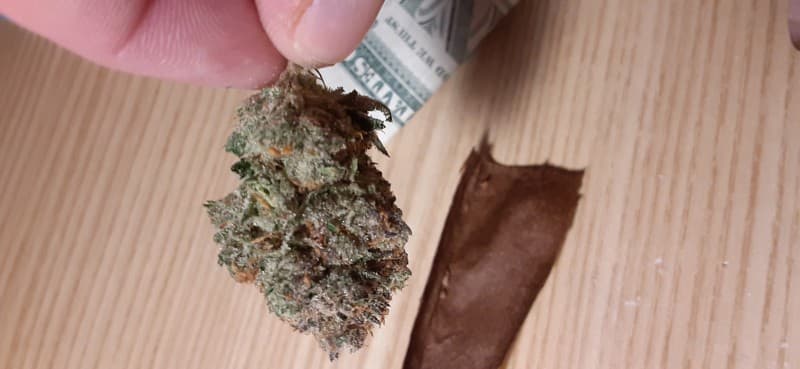 Tigers Milk cannabis strain, community photo 1