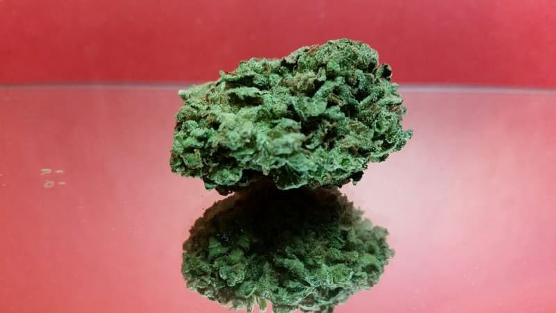 Trainwreck cannabis strain, community photo 2