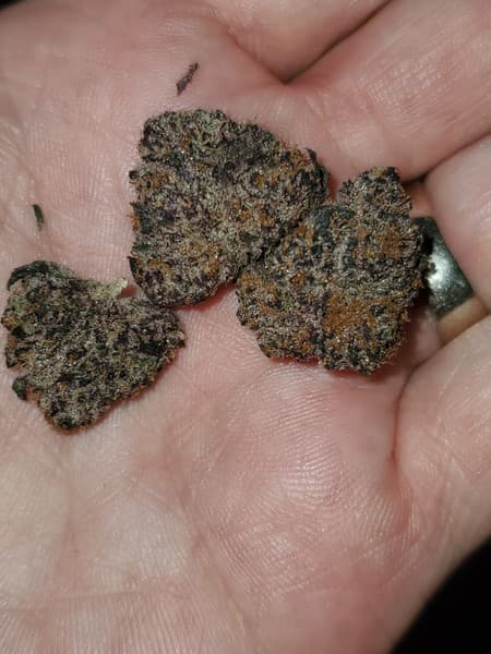Trix cannabis strain, community photo 1