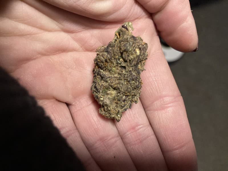 Trix cannabis strain, community photo 3