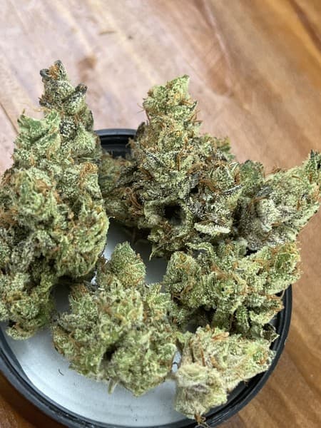 Tropsanto cannabis strain, community photo 1