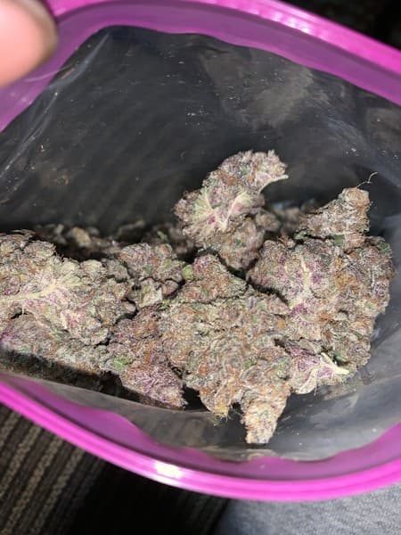 Tropsanto cannabis strain, community photo 2