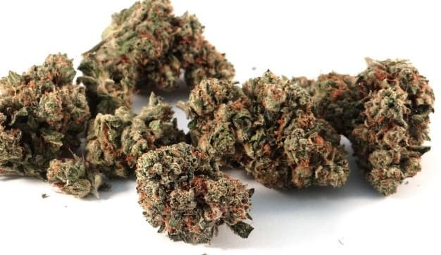 True OG cannabis strain, community photo 1