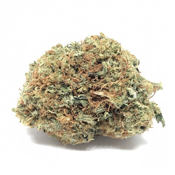 True OG cannabis strain, community photo 2