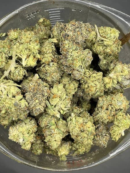 True OG cannabis strain, community photo 3