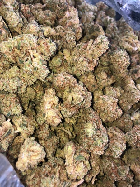 True OG cannabis strain, community photo 5