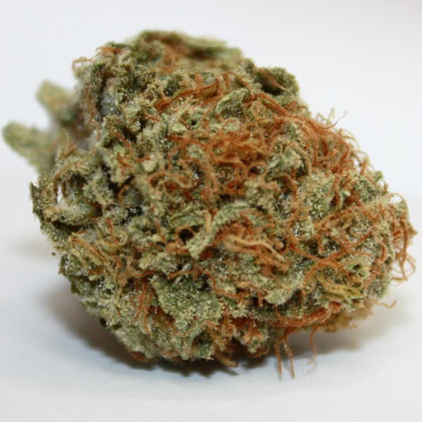 True OG cannabis strain, community photo 7