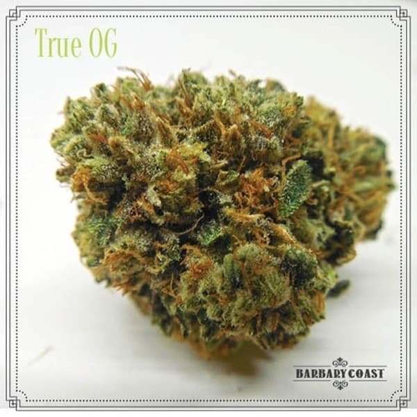 True OG cannabis strain, community photo 8