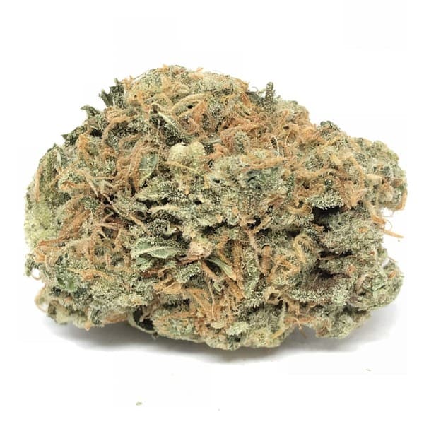 UK Cheese cannabis strain, community photo 2