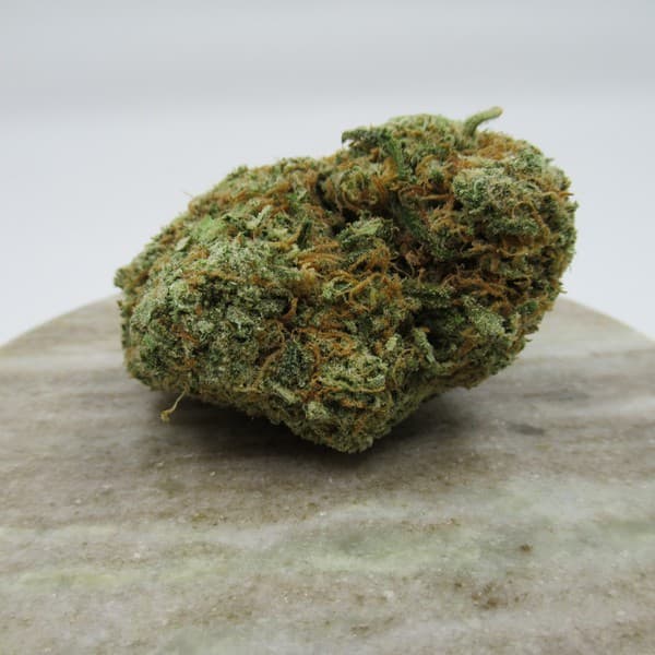 UK Cheese cannabis strain, community photo 4