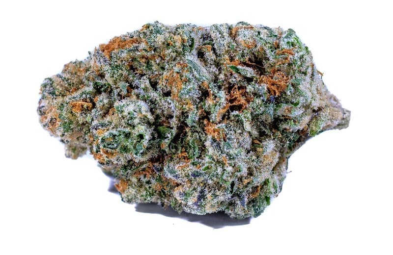Venom OG cannabis strain, community photo 1