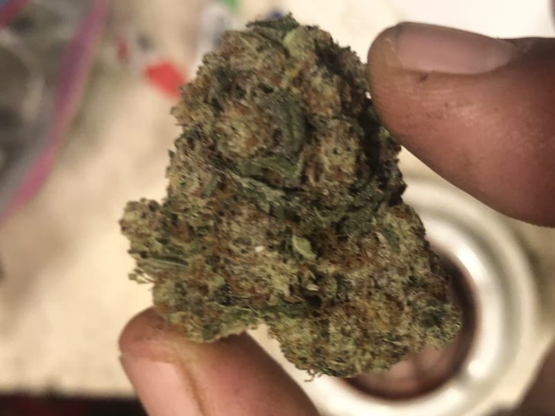 Venom OG cannabis strain, community photo 10