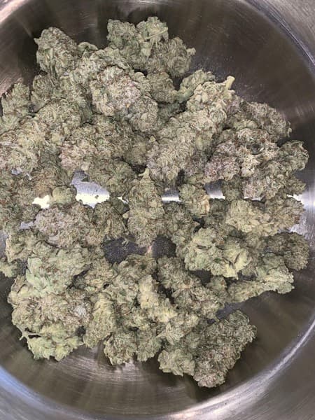 Venom OG cannabis strain, community photo 2