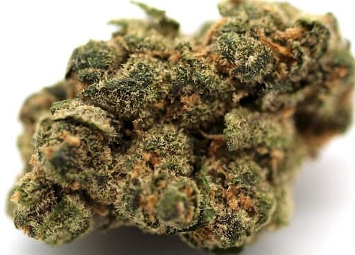 Venom OG cannabis strain, community photo 3