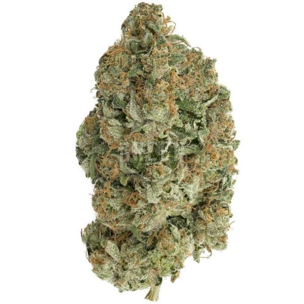 Venom OG cannabis strain, community photo 4