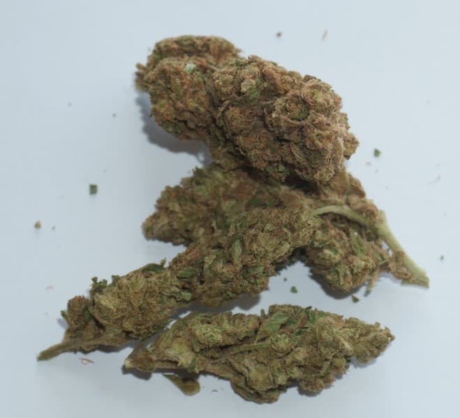 Venom OG cannabis strain, community photo 6