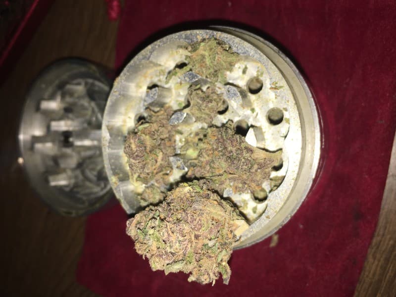 Venom OG cannabis strain, community photo 9