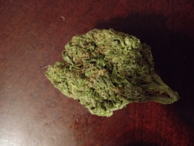 Vortex cannabis strain, community photo 1