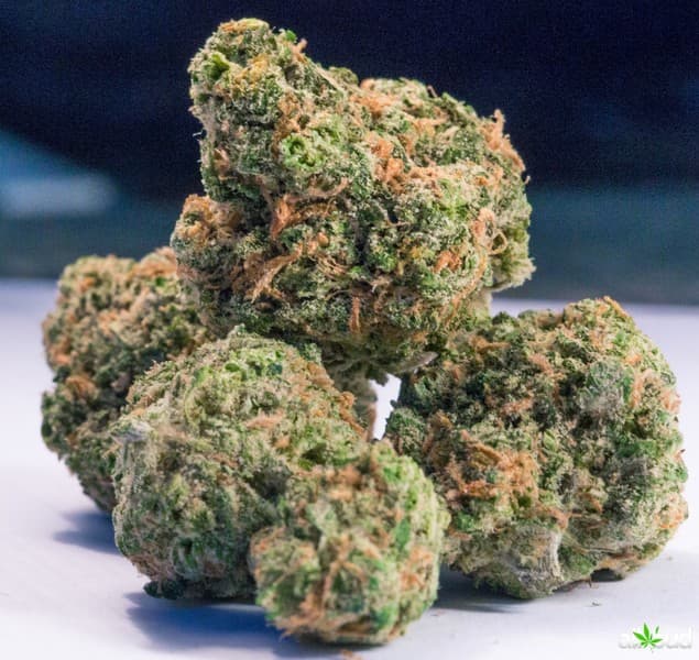 Vortex cannabis strain, community photo 2