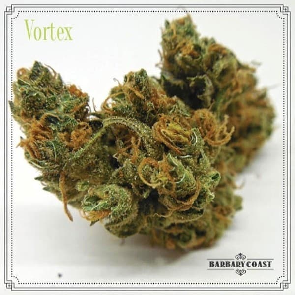 Vortex cannabis strain, community photo 4