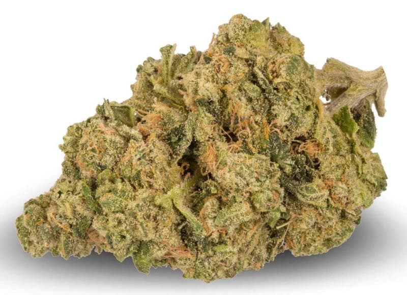 Waffle Cone cannabis strain, community photo 1