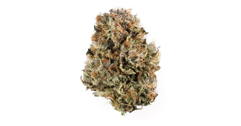 Waffle Cone cannabis strain, community photo 2