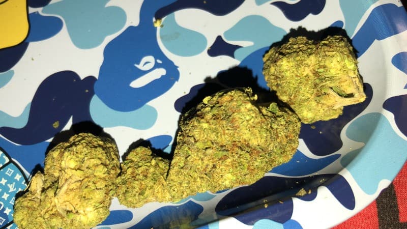 Waffle Cone cannabis strain, community photo 3