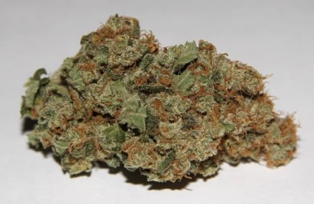 Wappa cannabis strain, community photo 1