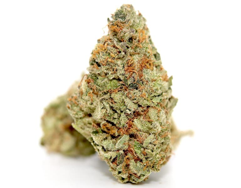 Watermelon cannabis strain, community photo 1